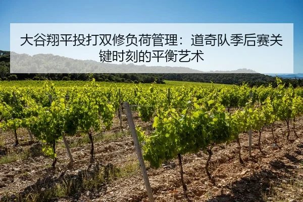 大谷翔平投打双修负荷管理：道奇队季后赛关键时刻的平衡艺术