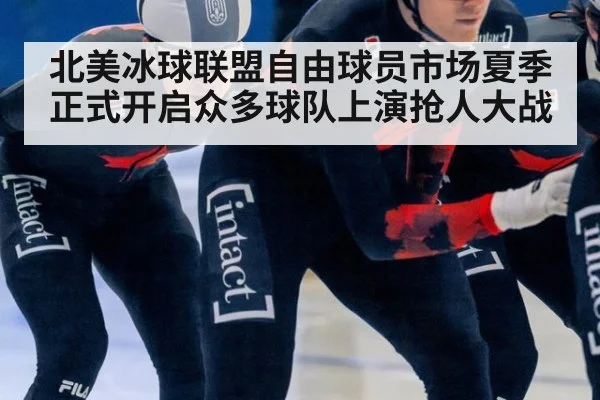 北美冰球联盟自由球员市场夏季正式开启众多球队上演抢人大战